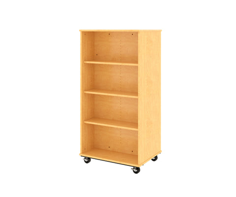 Double-Sided Mobile Bookshelf